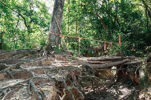 BIB: 
                            <button type="button" onclick="openModal(27800333)" class="btn btn-primary btn-sm float-right btn-popup" data-toggle="modal" data-target=".modal-high-quality">
                        <i class="fas fa-shopping-cart"></i> Add to Cart
                    </button>
                                            <button type="button" onclick="isThisMe(27800333, true)" class="btn btn-success btn-sm float-right btn-popup btn-isme hidden" data-toggle="tooltip" data-placement="bottom" title="นี่คือรูปของคุณใช่ไหม คลิกที่นี่เพื่อเอาเข้าอัลบั้ม">
                        <i class="fas fa-plus"></i> Add to album
                    </button>
                    <button type="button" onclick="isThisMe(27800333, false)" class="btn btn-warning btn-sm float-right btn-popup btn-isnotme hidden">
                        <i class="fas fa-ban"></i> Remove from album
                    </button>